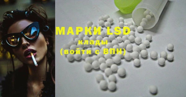 ECSTASY Абаза