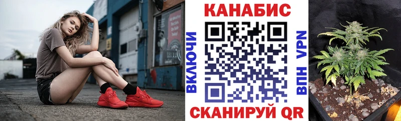 Канабис ГИДРОПОН  как найти наркотики  Куровское 